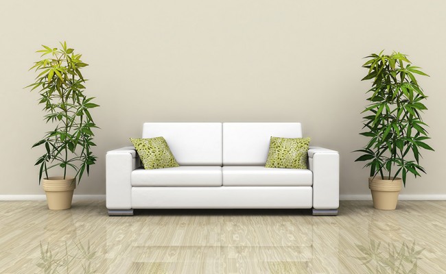 Sofa with plants